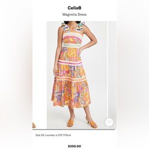 NWT. Beautiful Celia B Magnolia Dress. Small. Sold out.